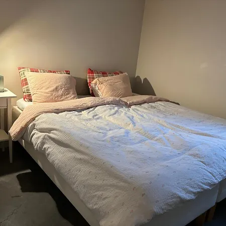 Bryggen Nest Apartment *