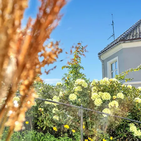 Apartament Bryggen Nest