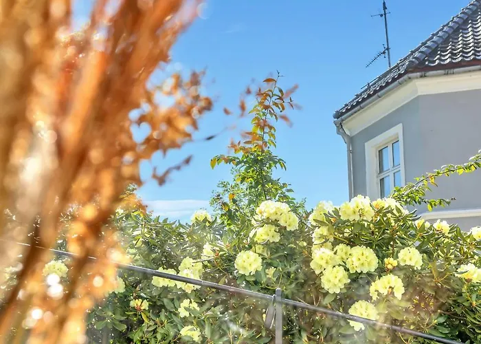 Διαμέρισμα Bryggen Nest